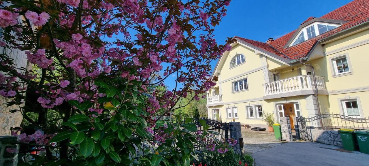 Apartment Sneznik Stari Trg pri Lozu Exterior foto